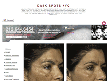 Tablet Screenshot of darkspotsnyc.net